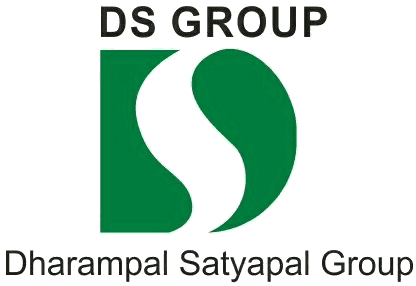 DS Group DS Group